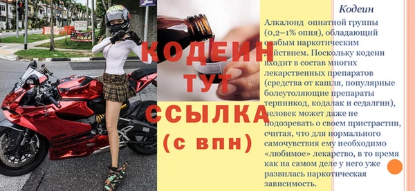 твердый Володарск