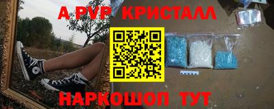 индика Шебекино