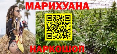 сатива Шахты