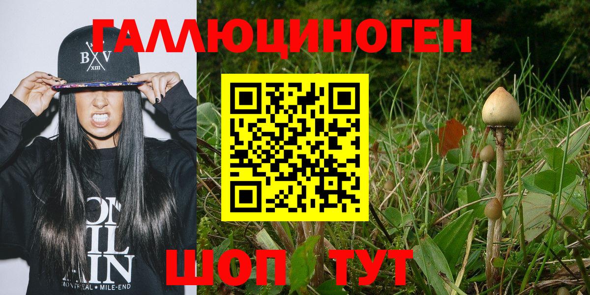 Галлюциногенные грибы ЛСД  Вход с VPN  Галлюциногенные грибы мицелий  Заинск 